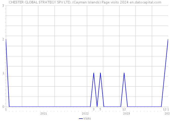 CHESTER GLOBAL STRATEGY SPV LTD. (Cayman Islands) Page visits 2024 