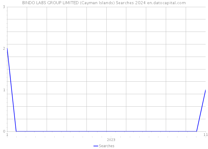 BINDO LABS GROUP LIMITED (Cayman Islands) Searches 2024 