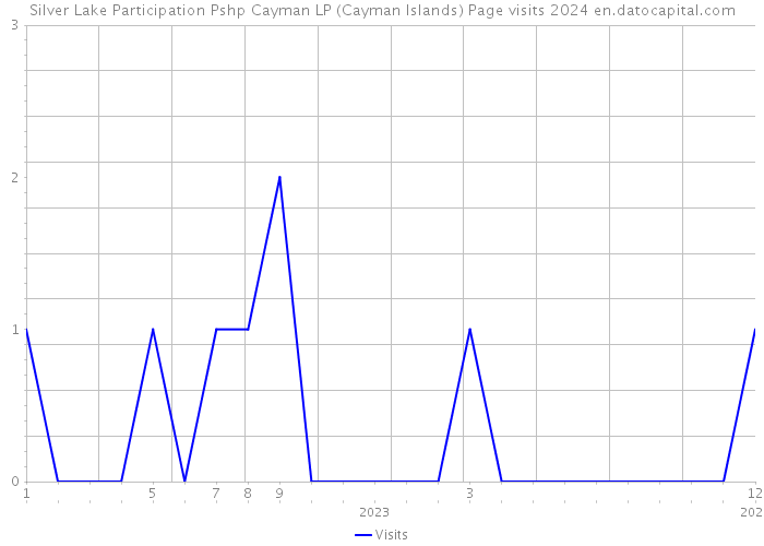 Silver Lake Participation Pshp Cayman LP (Cayman Islands) Page visits 2024 