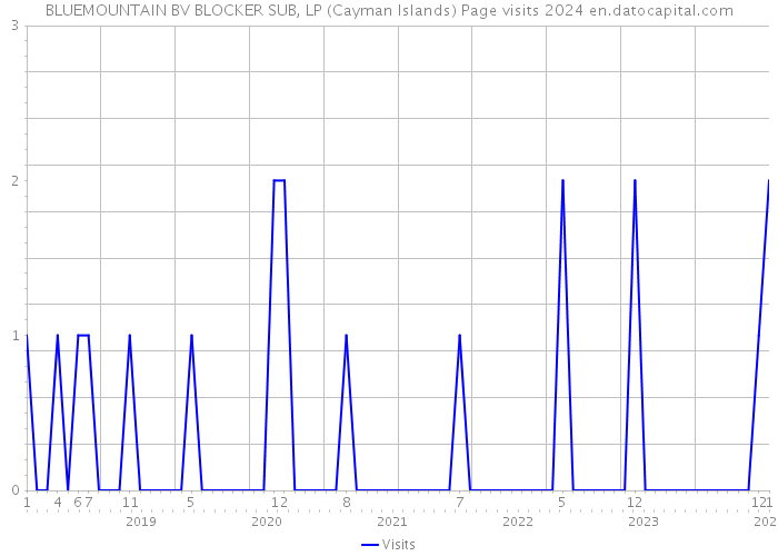 BLUEMOUNTAIN BV BLOCKER SUB, LP (Cayman Islands) Page visits 2024 