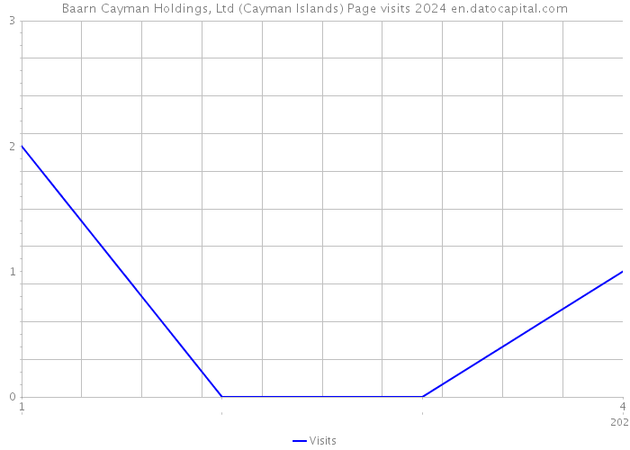 Baarn Cayman Holdings, Ltd (Cayman Islands) Page visits 2024 