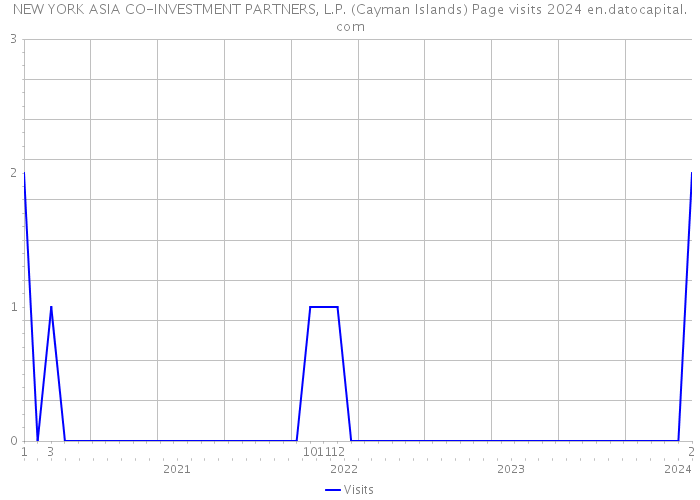 NEW YORK ASIA CO-INVESTMENT PARTNERS, L.P. (Cayman Islands) Page visits 2024 