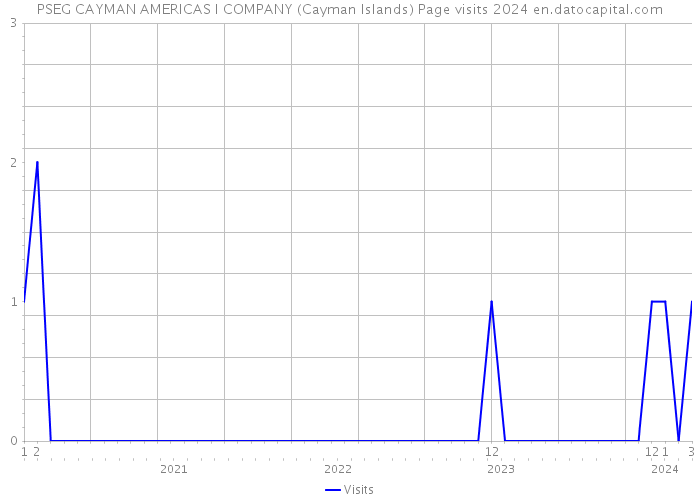 PSEG CAYMAN AMERICAS I COMPANY (Cayman Islands) Page visits 2024 
