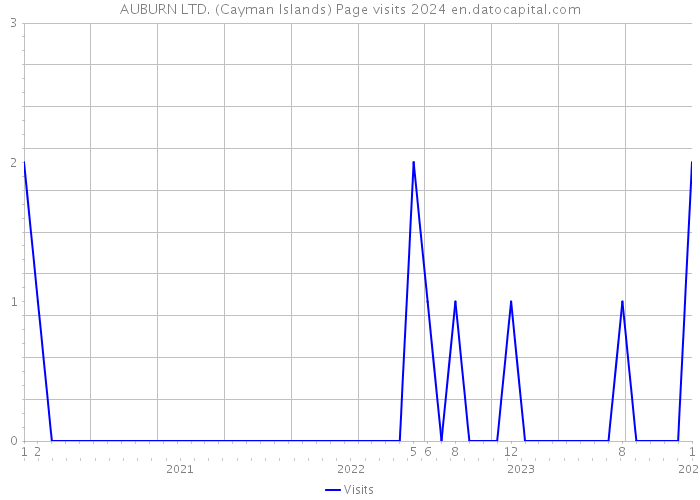 AUBURN LTD. (Cayman Islands) Page visits 2024 