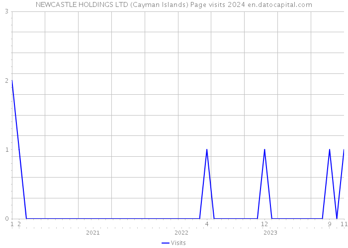 NEWCASTLE HOLDINGS LTD (Cayman Islands) Page visits 2024 