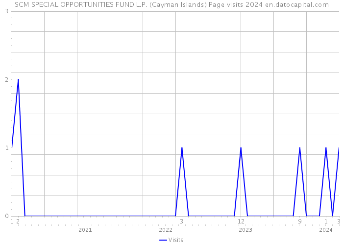 SCM SPECIAL OPPORTUNITIES FUND L.P. (Cayman Islands) Page visits 2024 