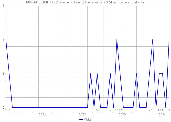 BRIGADE LIMITED (Cayman Islands) Page visits 2024 