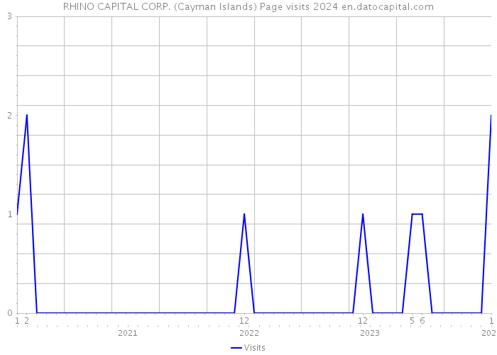 RHINO CAPITAL CORP. (Cayman Islands) Page visits 2024 