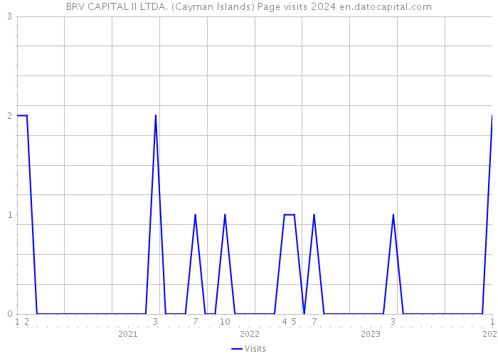 BRV CAPITAL II LTDA. (Cayman Islands) Page visits 2024 