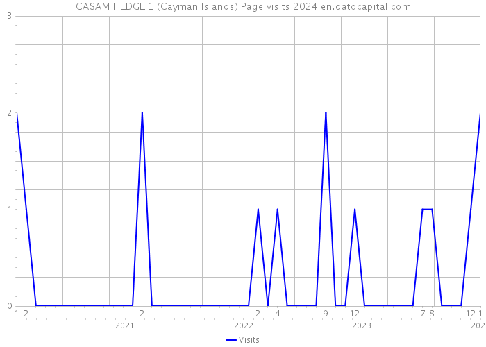 CASAM HEDGE 1 (Cayman Islands) Page visits 2024 