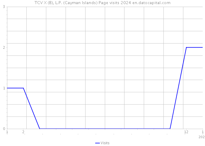 TCV X (B), L.P. (Cayman Islands) Page visits 2024 