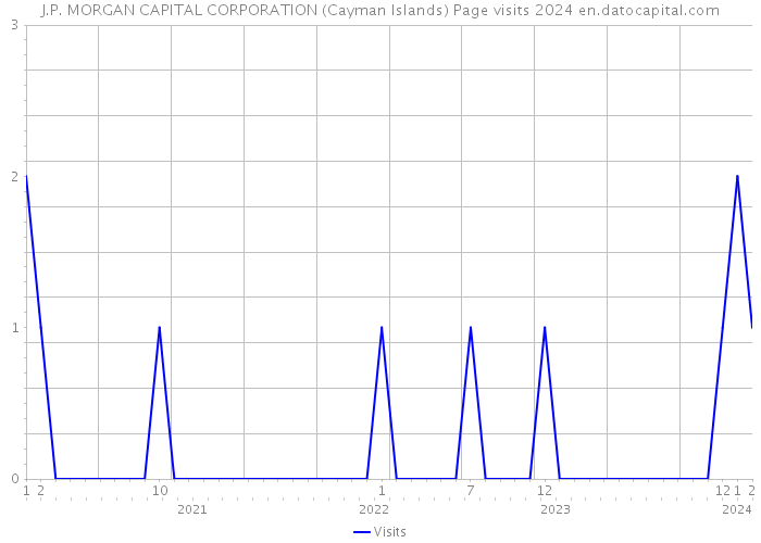 J.P. MORGAN CAPITAL CORPORATION (Cayman Islands) Page visits 2024 