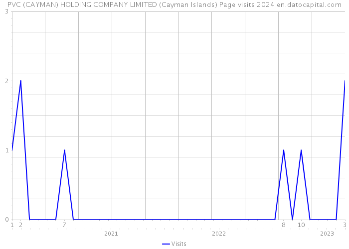 PVC (CAYMAN) HOLDING COMPANY LIMITED (Cayman Islands) Page visits 2024 