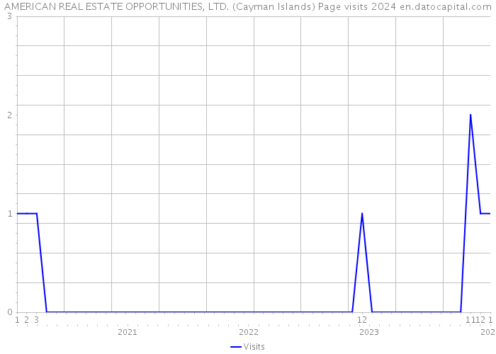 AMERICAN REAL ESTATE OPPORTUNITIES, LTD. (Cayman Islands) Page visits 2024 