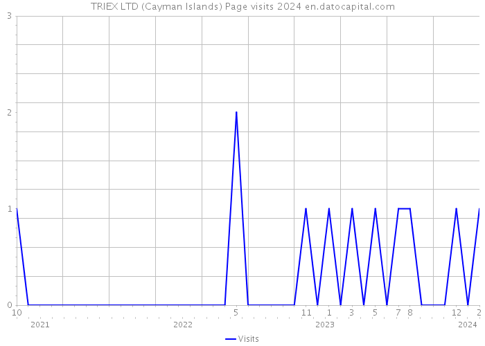 TRIEX LTD (Cayman Islands) Page visits 2024 