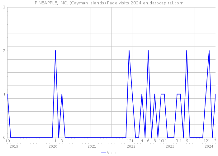 PINEAPPLE, INC. (Cayman Islands) Page visits 2024 