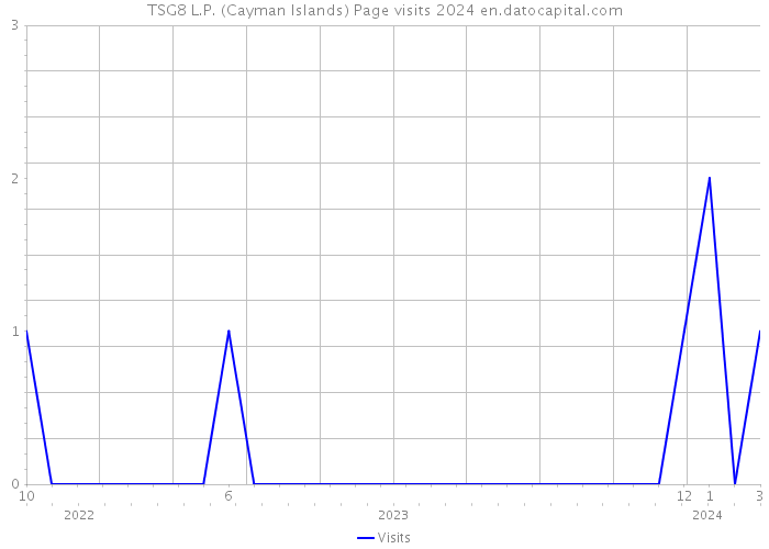 TSG8 L.P. (Cayman Islands) Page visits 2024 