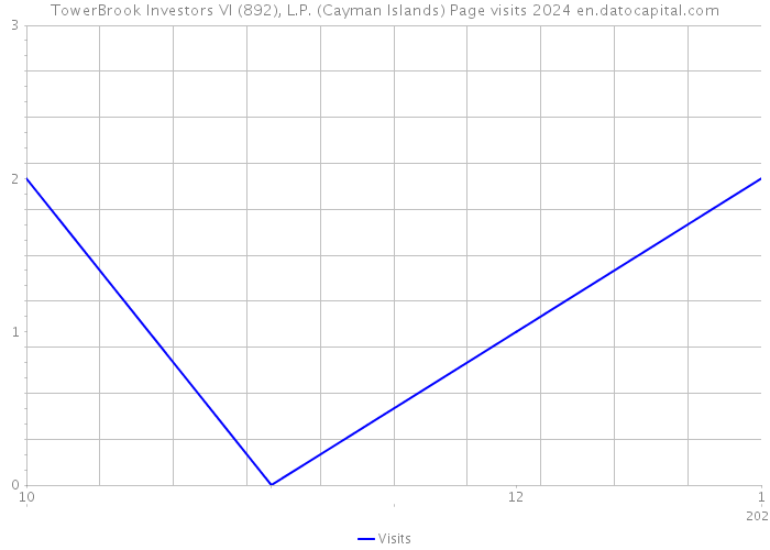 TowerBrook Investors VI (892), L.P. (Cayman Islands) Page visits 2024 