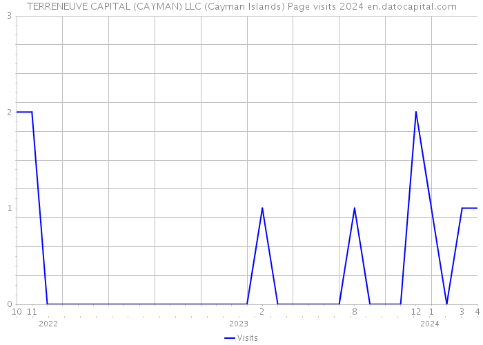 TERRENEUVE CAPITAL (CAYMAN) LLC (Cayman Islands) Page visits 2024 