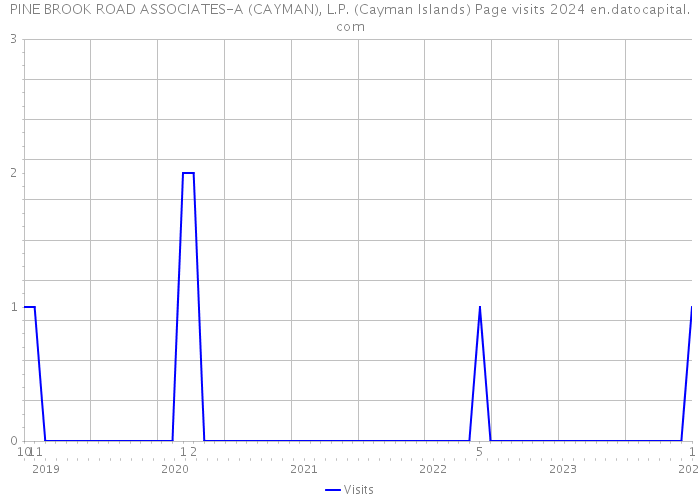PINE BROOK ROAD ASSOCIATES-A (CAYMAN), L.P. (Cayman Islands) Page visits 2024 