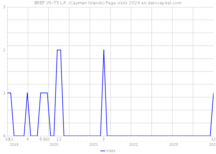 BREP VII-TS L.P. (Cayman Islands) Page visits 2024 