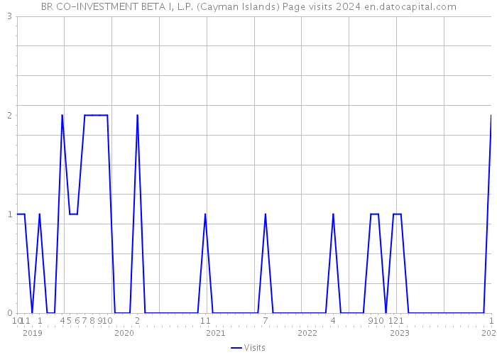 BR CO-INVESTMENT BETA I, L.P. (Cayman Islands) Page visits 2024 