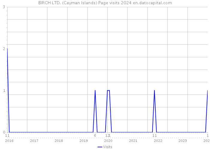 BIRCH LTD. (Cayman Islands) Page visits 2024 