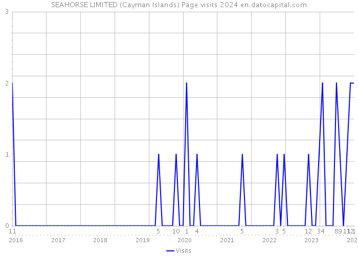 SEAHORSE LIMITED (Cayman Islands) Page visits 2024 