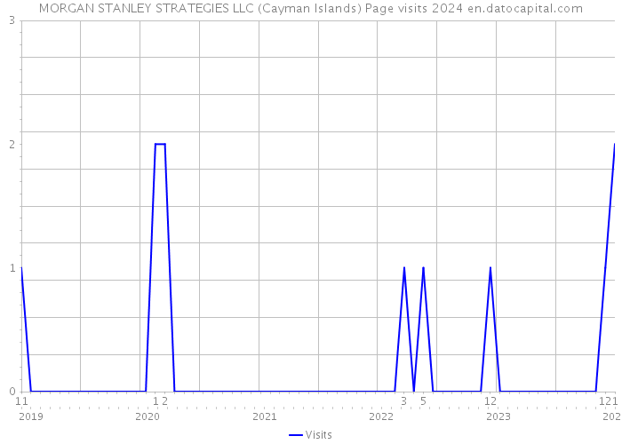 MORGAN STANLEY STRATEGIES LLC (Cayman Islands) Page visits 2024 