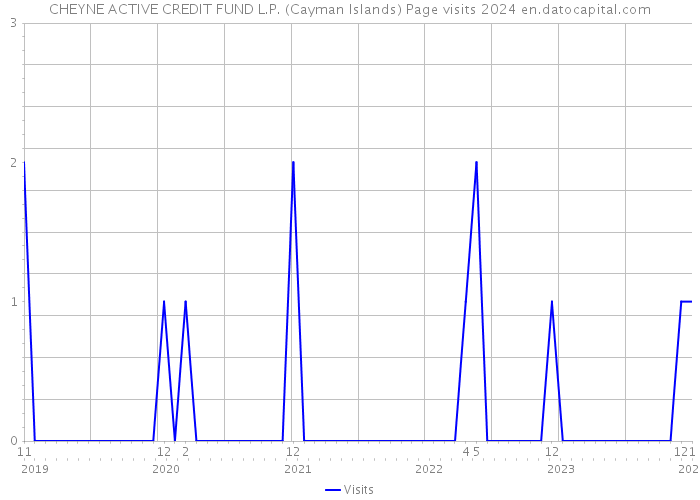 CHEYNE ACTIVE CREDIT FUND L.P. (Cayman Islands) Page visits 2024 