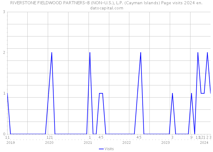 RIVERSTONE FIELDWOOD PARTNERS-B (NON-U.S.), L.P. (Cayman Islands) Page visits 2024 