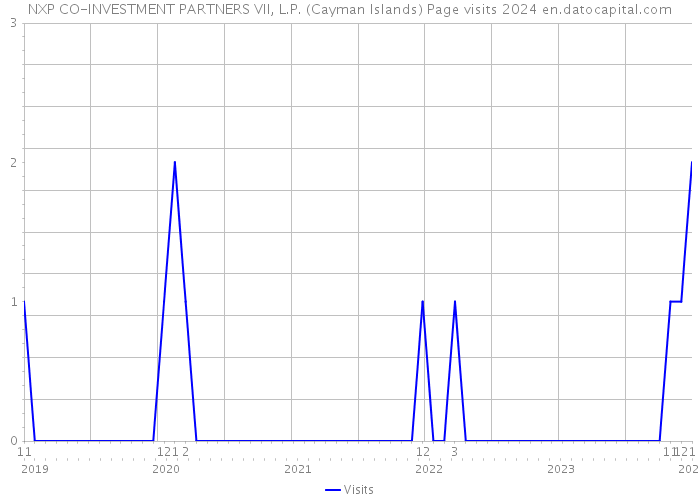 NXP CO-INVESTMENT PARTNERS VII, L.P. (Cayman Islands) Page visits 2024 