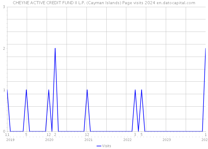 CHEYNE ACTIVE CREDIT FUND II L.P. (Cayman Islands) Page visits 2024 