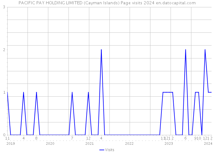 PACIFIC PAY HOLDING LIMITED (Cayman Islands) Page visits 2024 