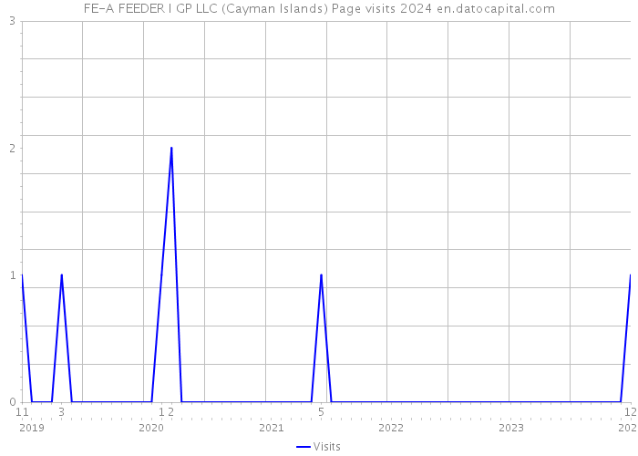 FE-A FEEDER I GP LLC (Cayman Islands) Page visits 2024 