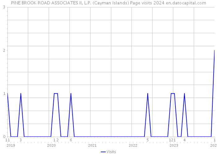 PINE BROOK ROAD ASSOCIATES II, L.P. (Cayman Islands) Page visits 2024 