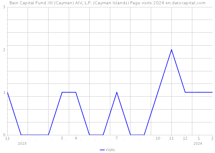 Bain Capital Fund XII (Cayman) AIV, L.P. (Cayman Islands) Page visits 2024 