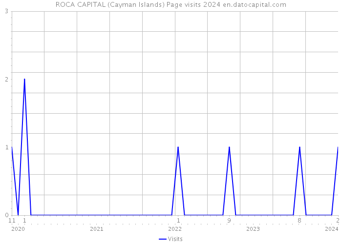 ROCA CAPITAL (Cayman Islands) Page visits 2024 