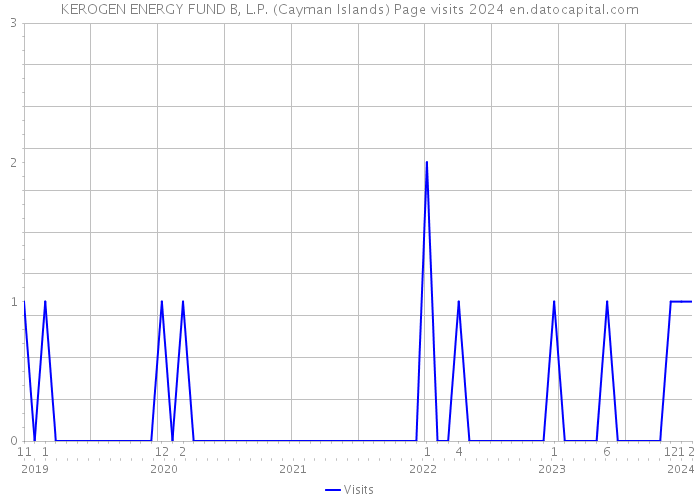 KEROGEN ENERGY FUND B, L.P. (Cayman Islands) Page visits 2024 