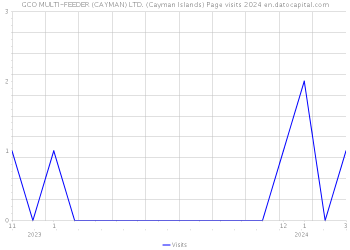GCO MULTI-FEEDER (CAYMAN) LTD. (Cayman Islands) Page visits 2024 
