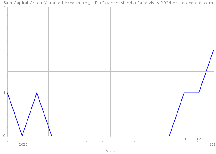Bain Capital Credit Managed Account (A), L.P. (Cayman Islands) Page visits 2024 