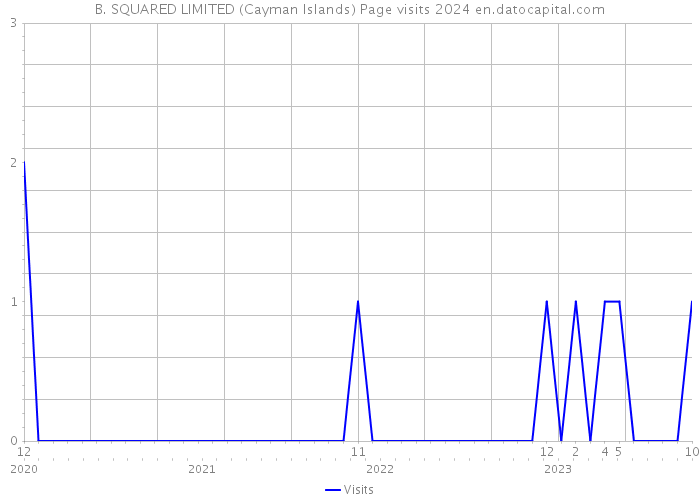 B. SQUARED LIMITED (Cayman Islands) Page visits 2024 