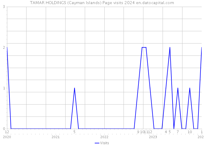 TAMAR HOLDINGS (Cayman Islands) Page visits 2024 