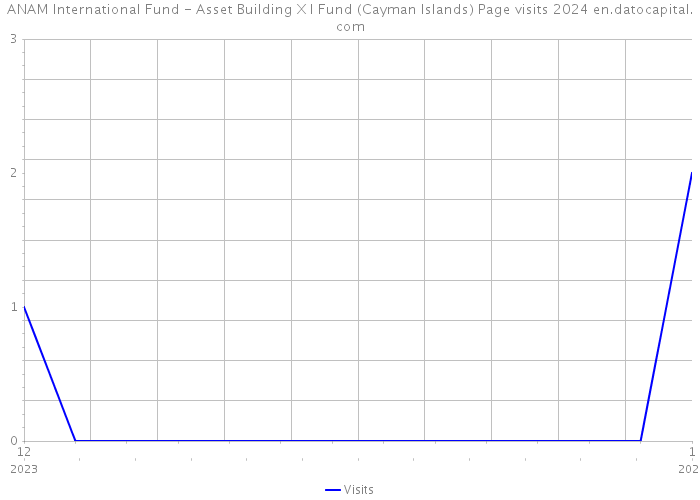 ANAM International Fund - Asset Building X I Fund (Cayman Islands) Page visits 2024 