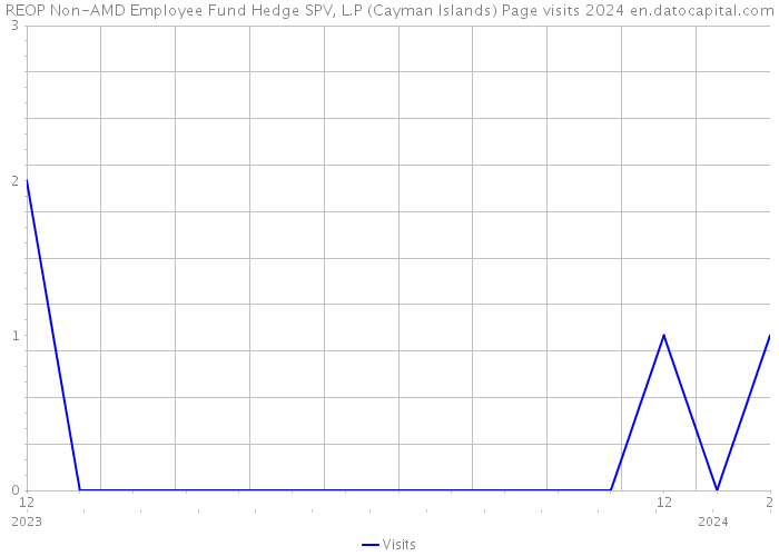 REOP Non-AMD Employee Fund Hedge SPV, L.P (Cayman Islands) Page visits 2024 