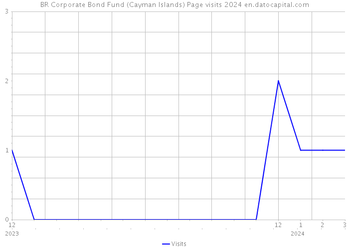 BR Corporate Bond Fund (Cayman Islands) Page visits 2024 