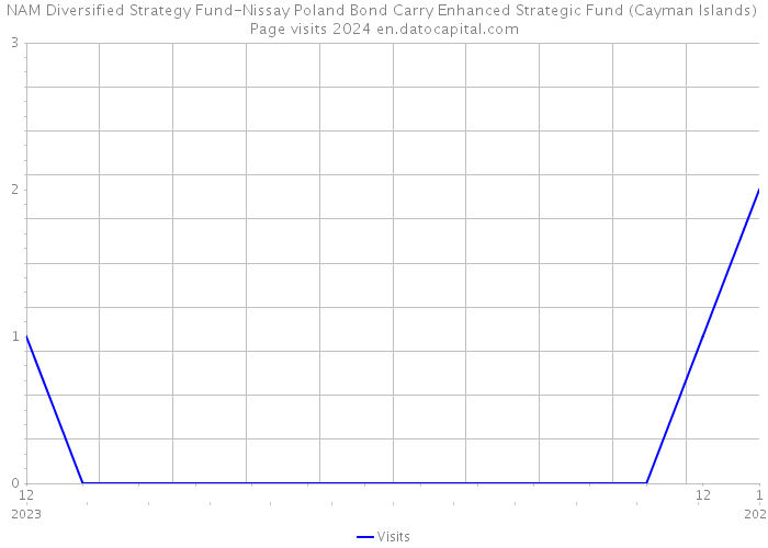 NAM Diversified Strategy Fund-Nissay Poland Bond Carry Enhanced Strategic Fund (Cayman Islands) Page visits 2024 