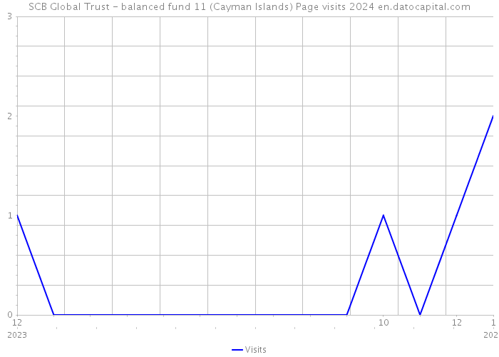 SCB Global Trust - balanced fund 11 (Cayman Islands) Page visits 2024 