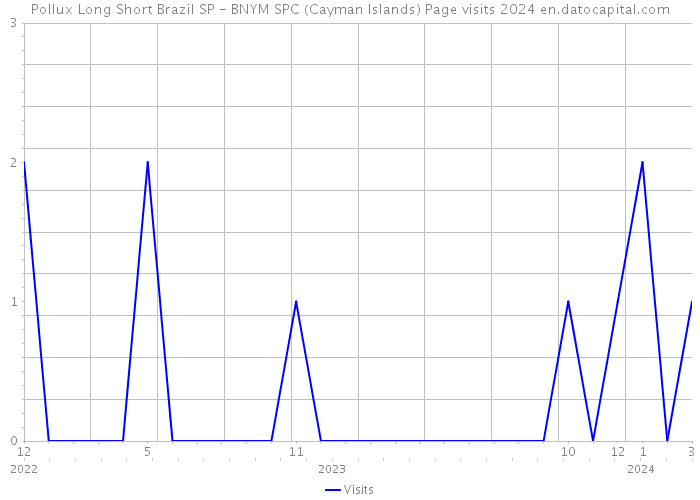 Pollux Long Short Brazil SP - BNYM SPC (Cayman Islands) Page visits 2024 