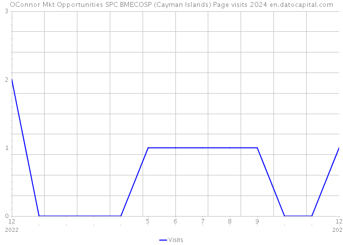 OConnor Mkt Opportunities SPC BMECOSP (Cayman Islands) Page visits 2024 